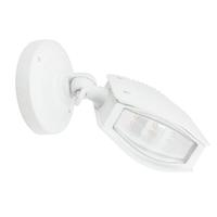 American Lighting 6 watt 100/150 volt 3000K Natural White LED Flood